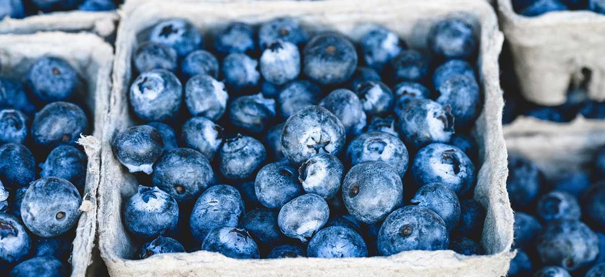 Naturally Nourished Vegan